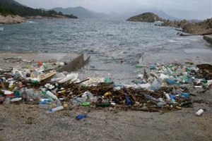 Pelješac, 23. studenoga 2010. - plaže na otocima Mljet i Pelješac prekrivene su raznovrsnim naplavljenim otpadom nošen morskim strujama uglavnom iz smjera Albanije i Italije; plutajući otpad uzrokuje smetnje u redovitom pomorskom prometu